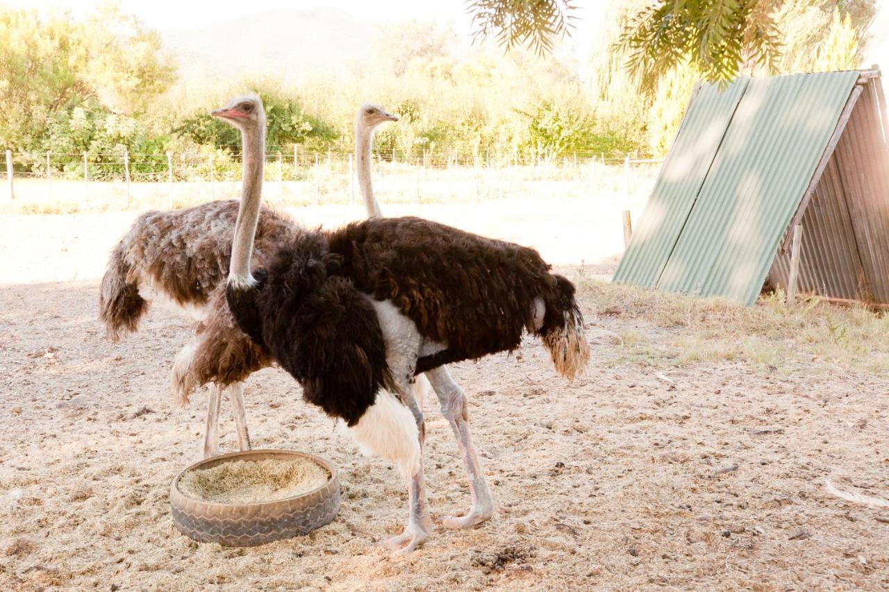 אאודטסהורן Oue Werf Country House מראה חיצוני תמונה